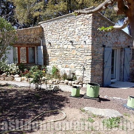 Domaine L'Helion Panzió Taradeau Kültér fotó